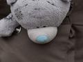 365 - Day 347 - Pocket Bear